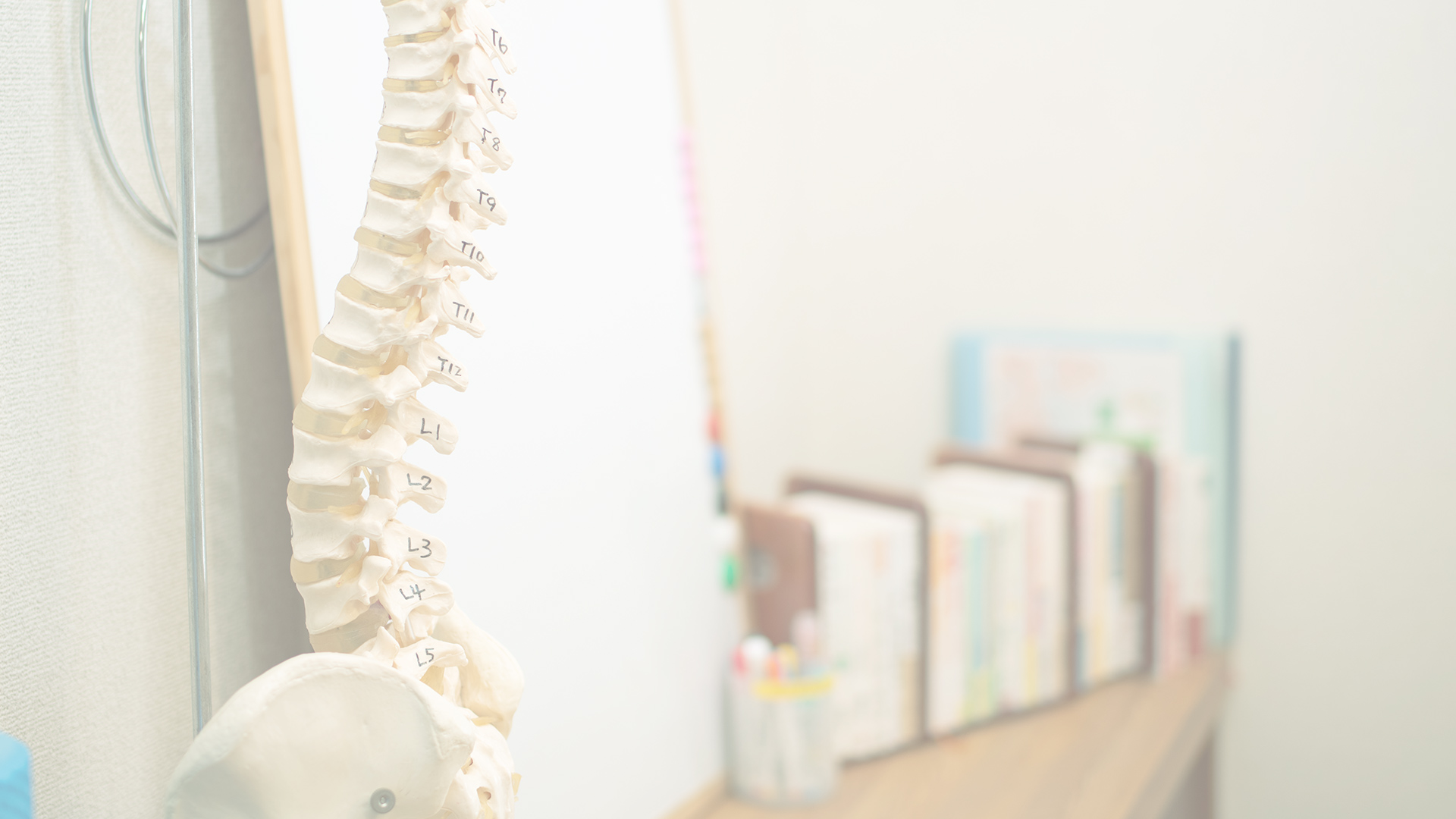 メニュー